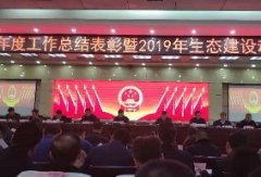 【荣誉】新蒲乐动（中国）喜获中原区2018年度 经济社会发展作出突出贡献先进单位