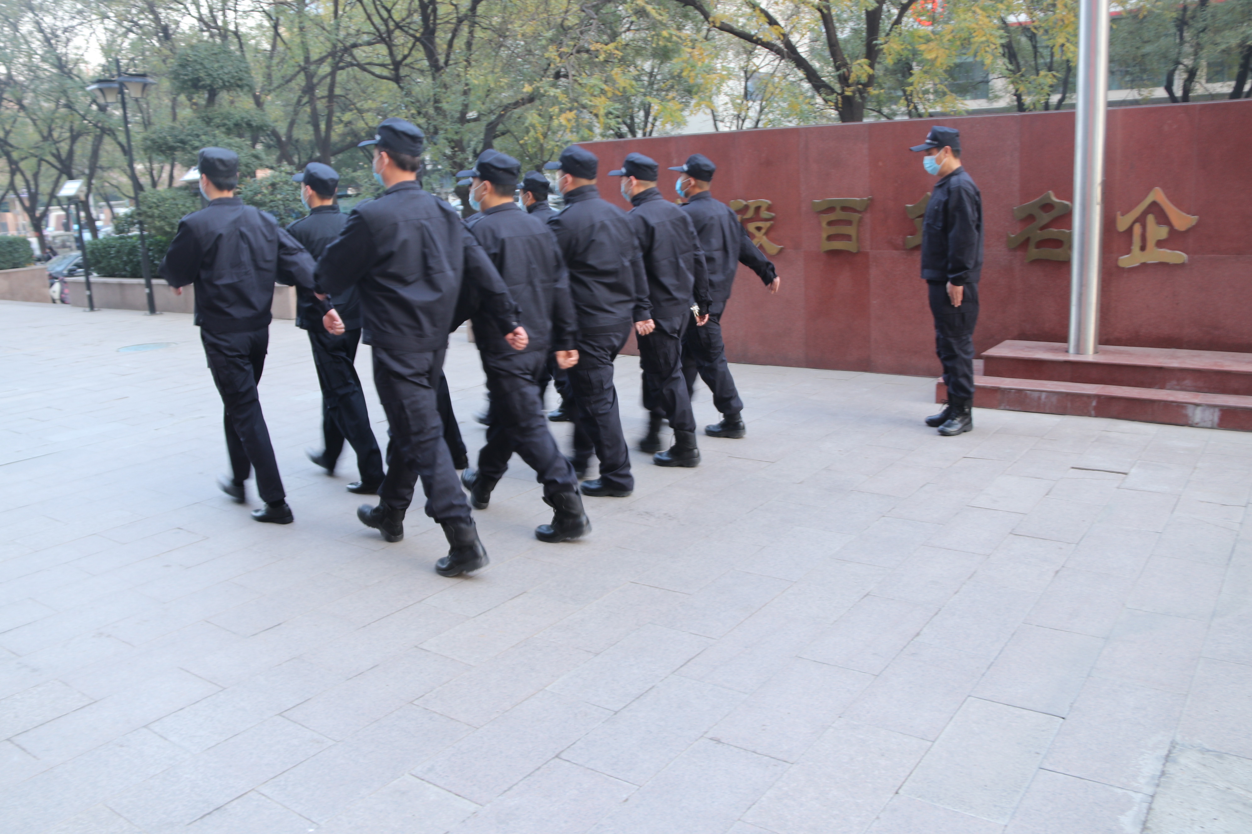 新蒲乐动（中国）